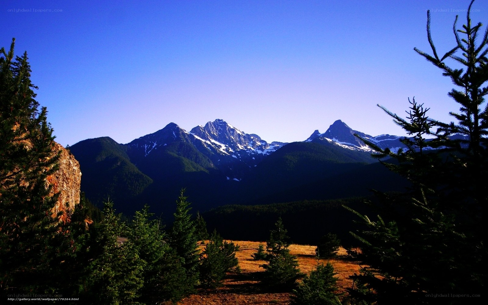 Mountain peaks with snow and trees