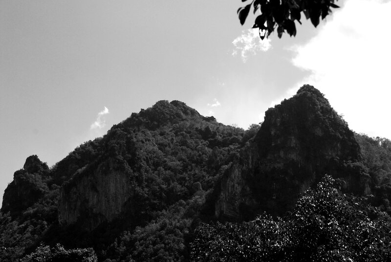 Mountain Peaks with Trees — Black