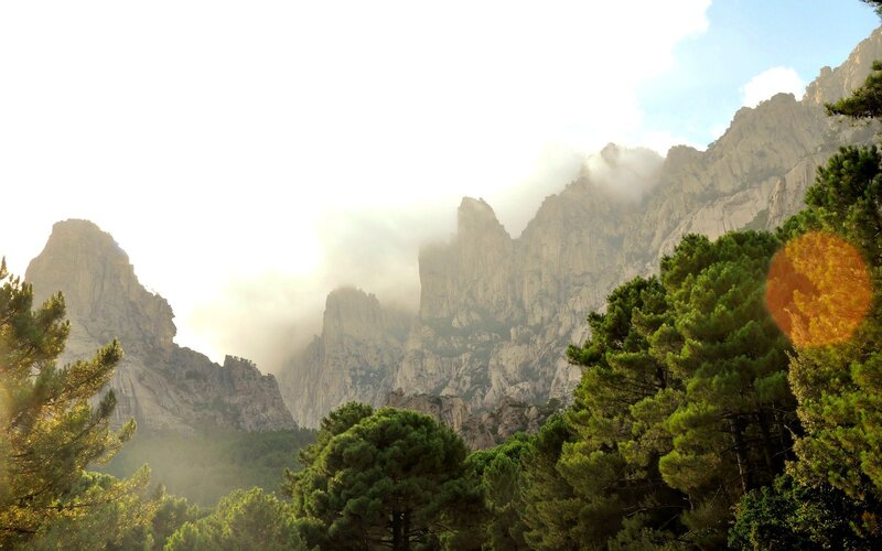 Mountain Peaks with Trees — Green, Serene, Morning