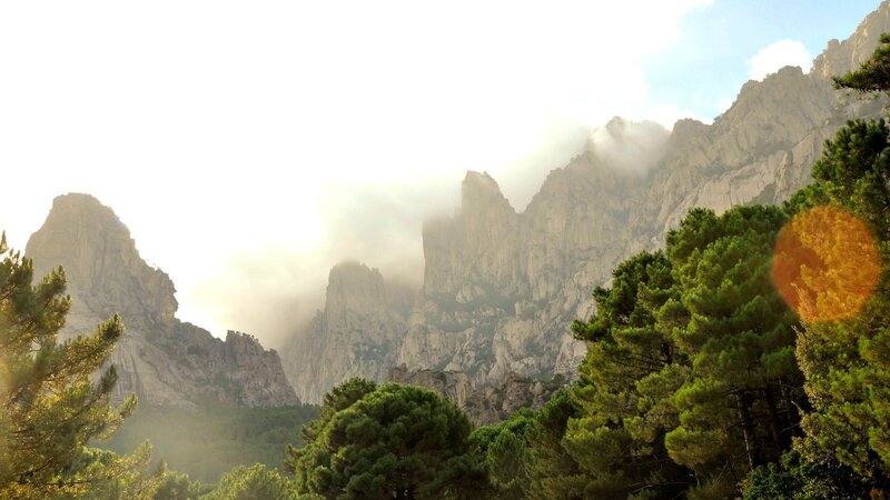 Mountain Peaks with Trees — Green, Serene
