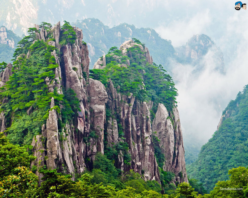Mountain Peaks with Trees — Green