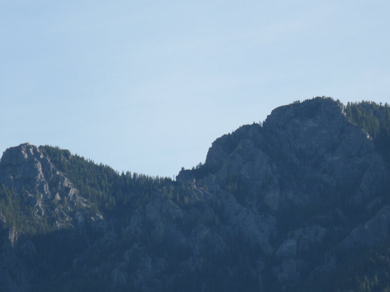 Mountain Peaks with Trees