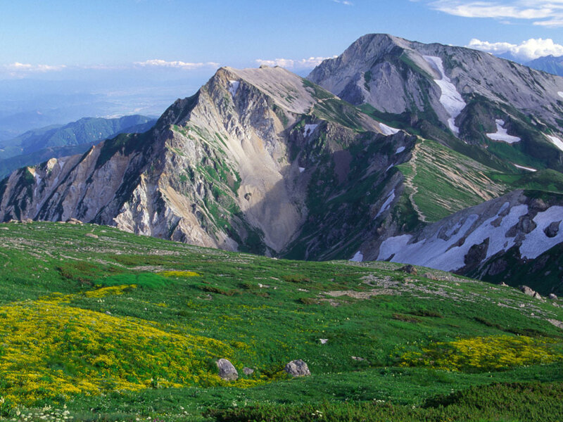 Mountain peaks with wildflowers