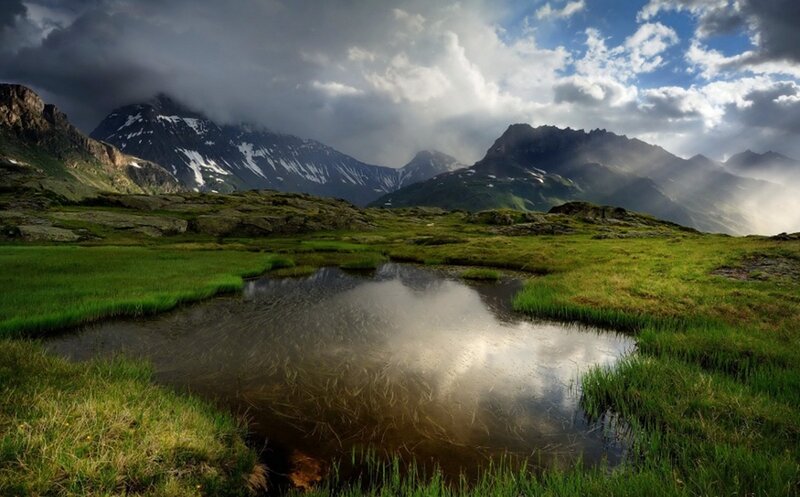Mountain Pond in Alpine Meadow — Green
