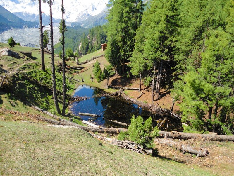 Mountain pond in forested valley