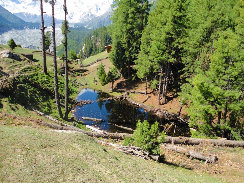 Mountain pond in forested valley