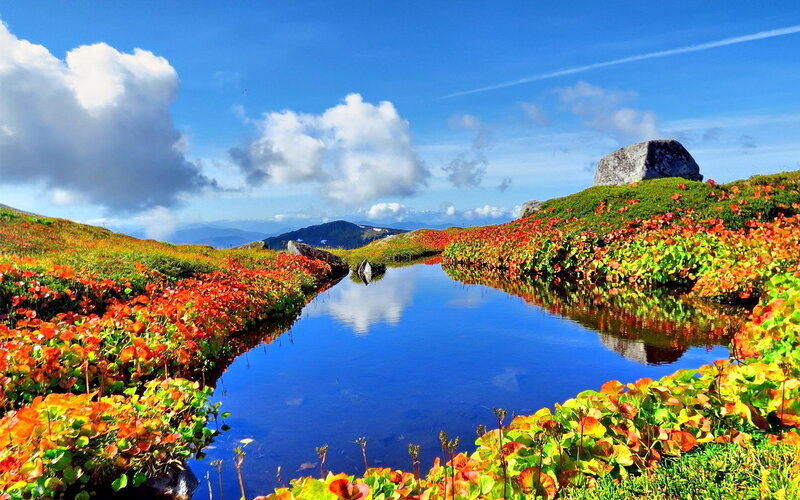 Mountain Pond with Flowers — Blue