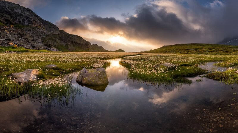 Mountain Pond with Flowers — Green