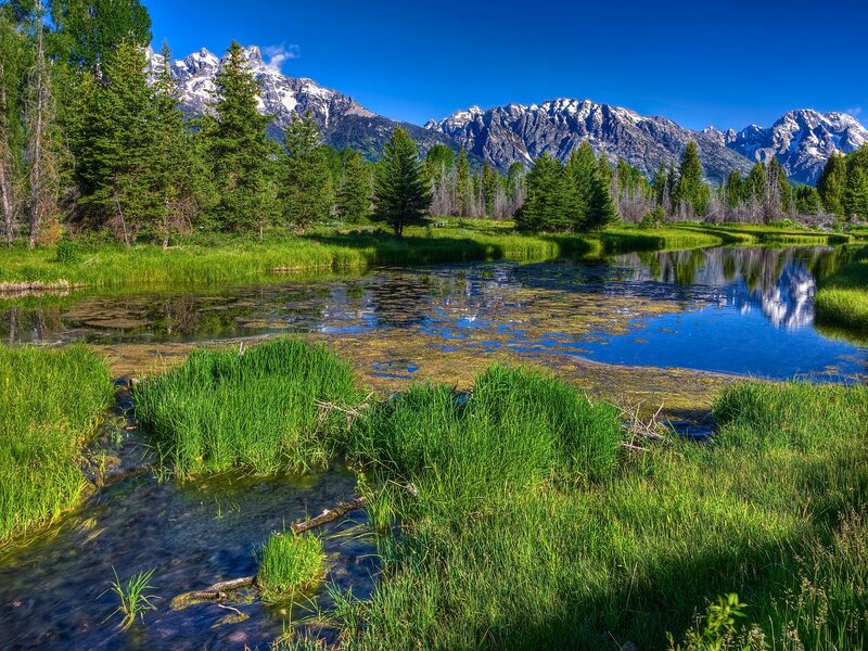 Mountain Pond with Reflection — Blue