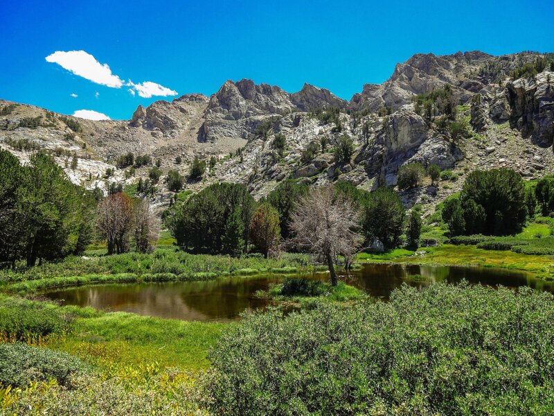 Mountain Pond with Trees