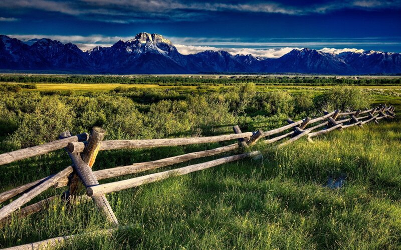 Mountain Range and Fence — Green
