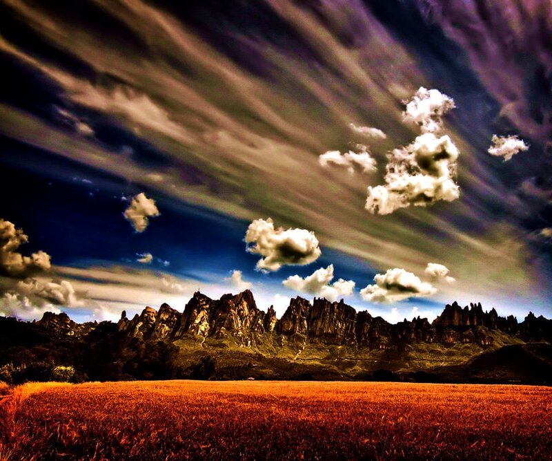 Mountain Range and Field