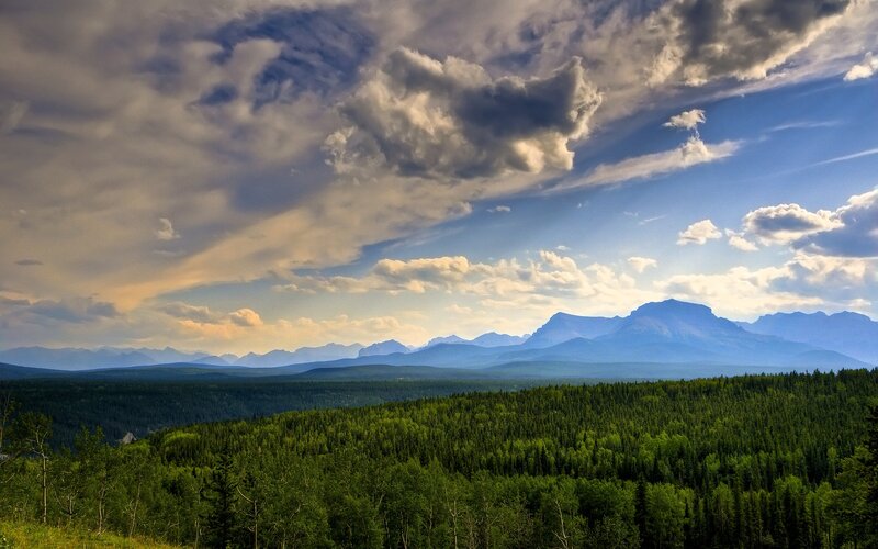 Mountain Range and Forest