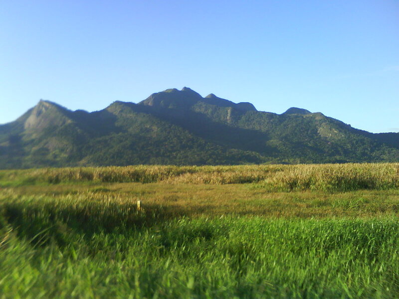 Mountain Range and Grassland