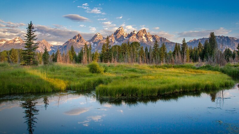 Mountain Range and Marsh