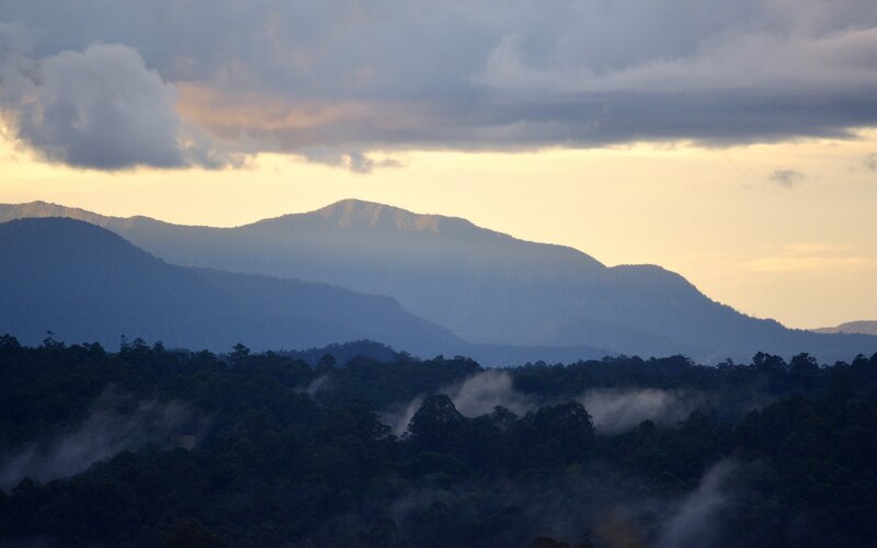 Mountain Range at Dawn — Blue, Serene, Photograph, Forest