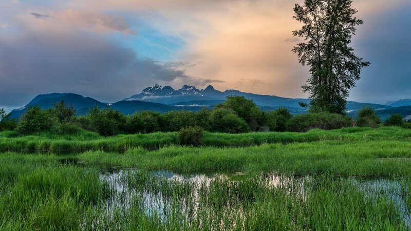 Mountain Range at Dusk — Green, Serene, Photograph