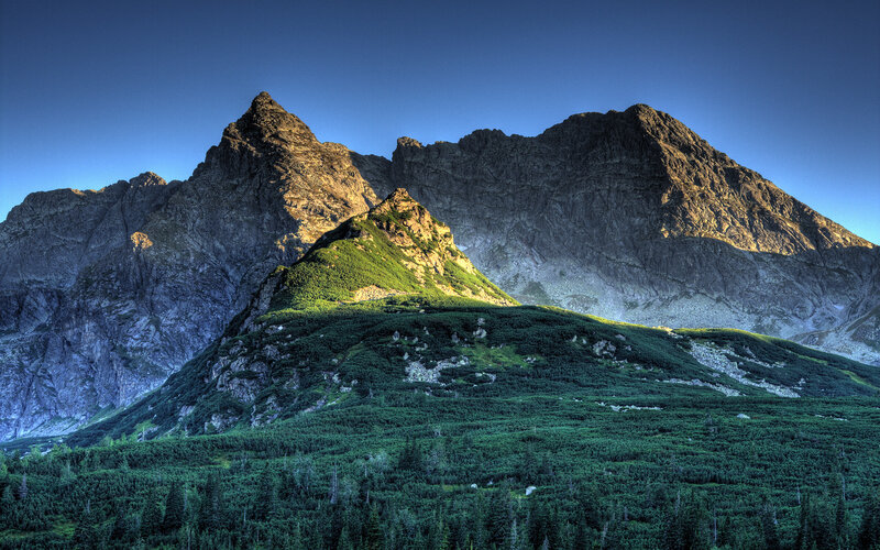 Mountain Range at Sunrise — Blue, Dramatic, Photograph, Mountains, Forest