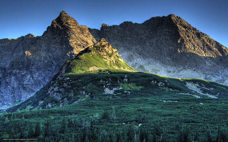 Mountain Range at Sunrise — Green, Dramatic, Photograph, Forest