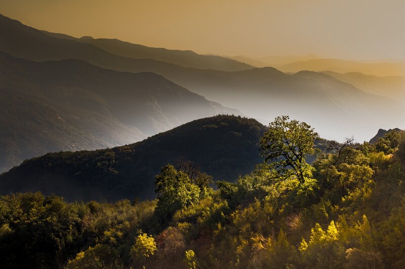 Mountain Range at Sunrise — Green, Serene, Photograph, Trees
