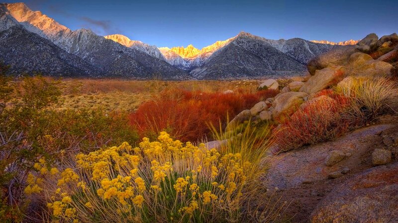 Mountain Range at Sunrise — Yellow