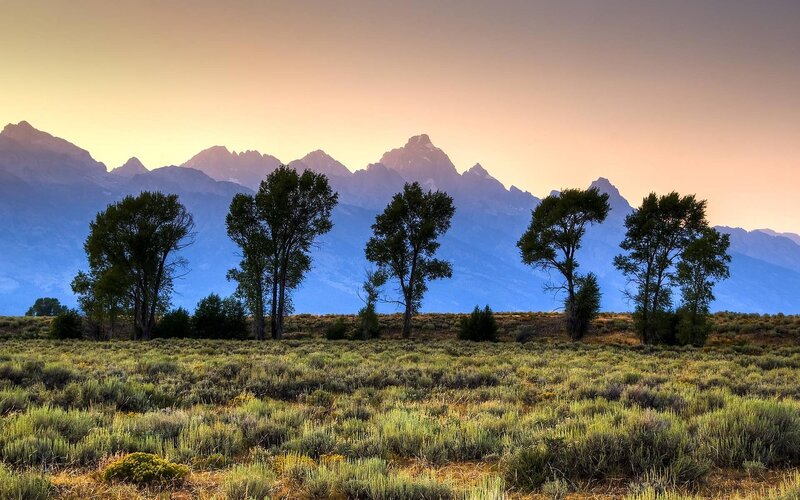 Mountain Range at Sunset — Blue, Serene, Photograph, Trees, Grassland