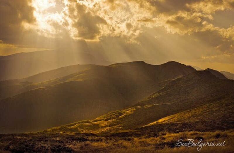 Mountain Range at Sunset — Gold