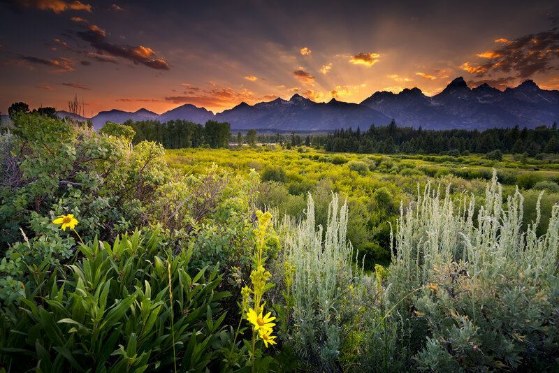 Mountain Range at Sunset — Green, Dramatic, Photograph, Flowers