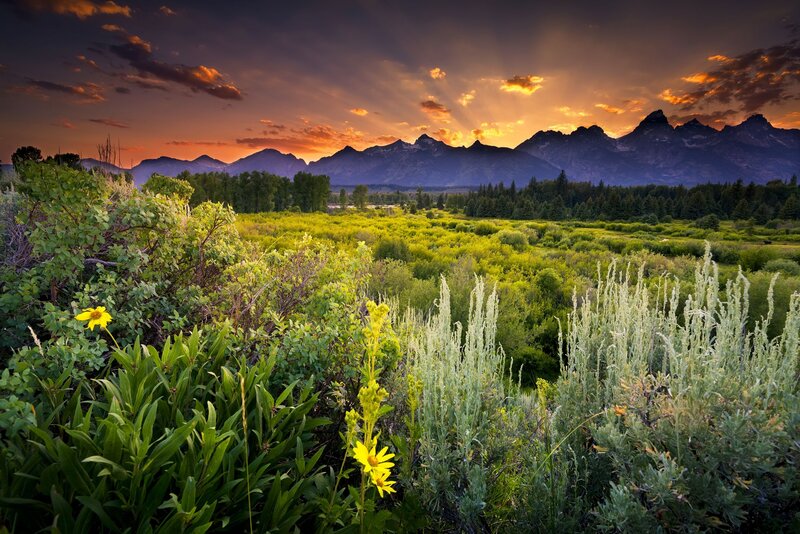 Mountain Range at Sunset — Green, Dramatic, Photograph, Flowers, Trees