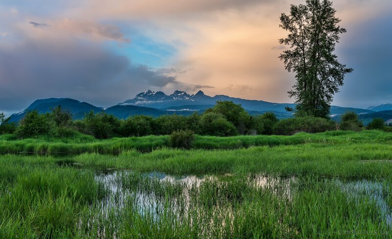 Mountain Range at Sunset — Green, Serene, Photograph, Trees, Grass, Pond