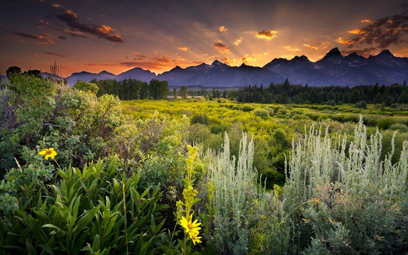 Mountain Range at Sunset — Orange, Dramatic, Photograph, Flowers