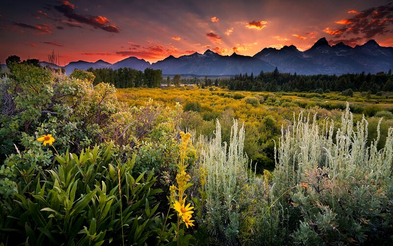 Mountain Range at Sunset — Orange, Dramatic, Photograph, Flowers, Trees