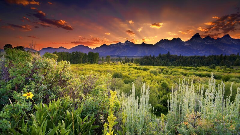 Mountain Range at Sunset — Orange, Dramatic, Photograph, Sky, Trees
