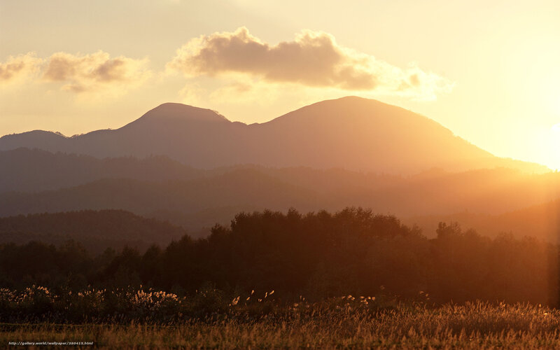 Mountain Range at Sunset — Orange, Serene, Photograph, Mountains, Trees