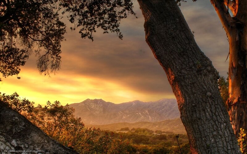 Mountain Range at Sunset — Orange, Serene, Photograph, Tree, Sky, Mountains