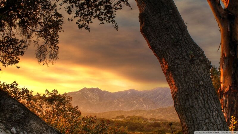 Mountain Range at Sunset — Orange, Serene, Photograph, Tree Trunk