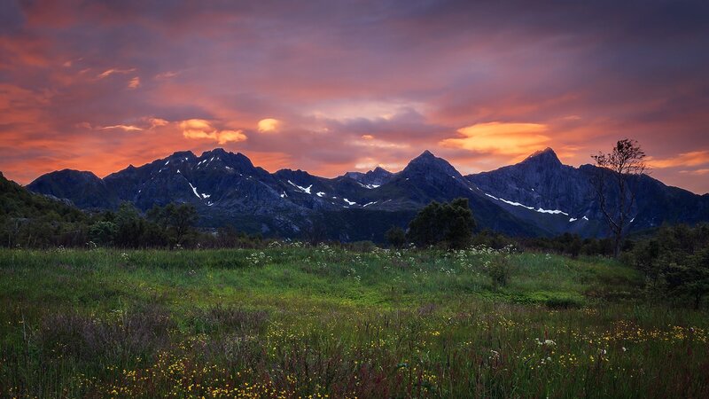 Mountain Range at Sunset — Purple, Dramatic, Photograph, Sky, Grass
