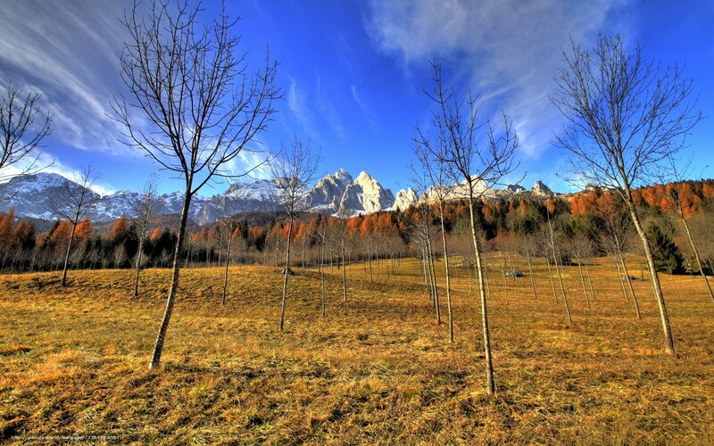 Mountain Range in Autumn — Blue, Serene, Photograph, Trees, Grass