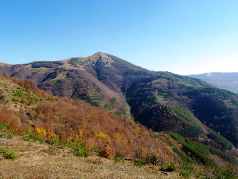 Mountain Range in Autumn — Blue, Serene, Photograph, Trees