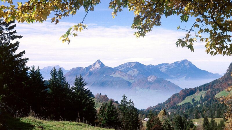 Mountain Range in Autumn — Green