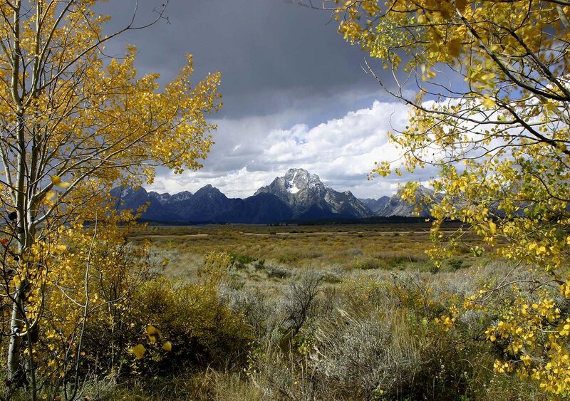 Mountain Range in Autumn — Yellow