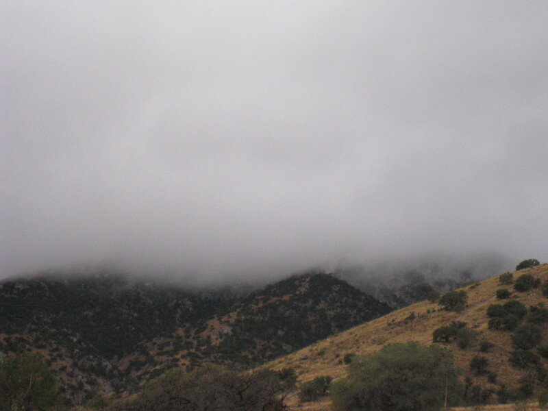 Mountain Range in Fog — Gray, Overcast