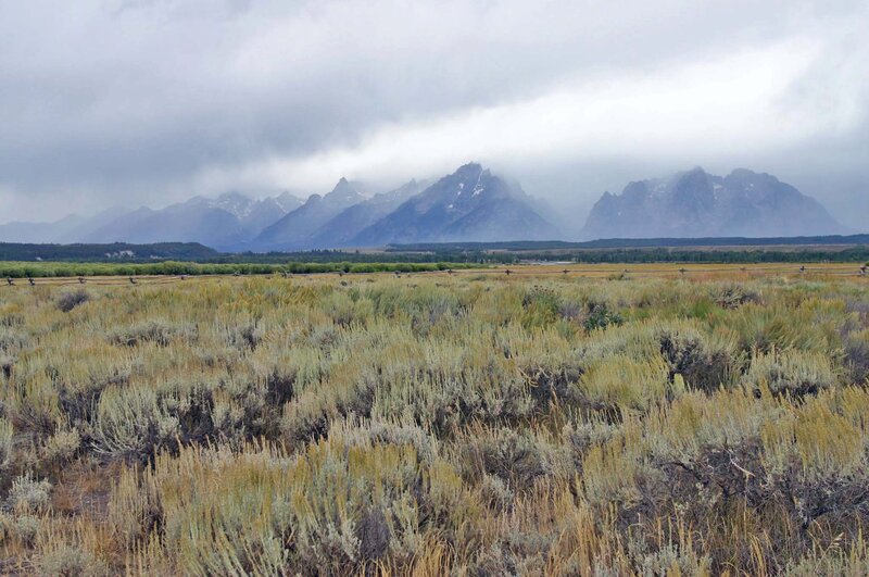 Mountain Range in Valley — Gray