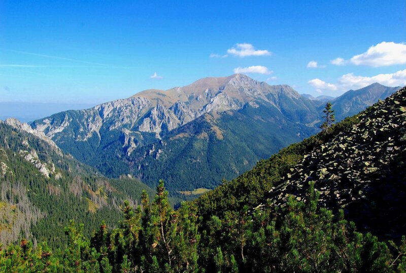 Mountain Range Landscape — Blue, Serene, Afternoon, Photograph, Trees