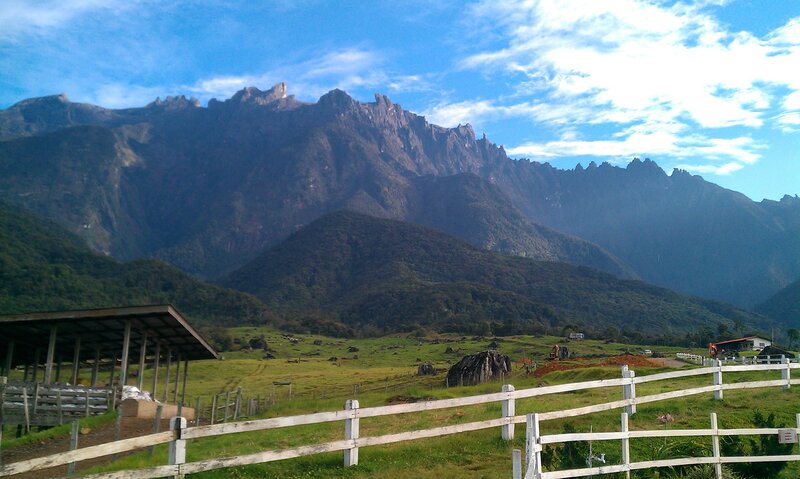 Mountain Range Landscape — Green, Serene, Morning
