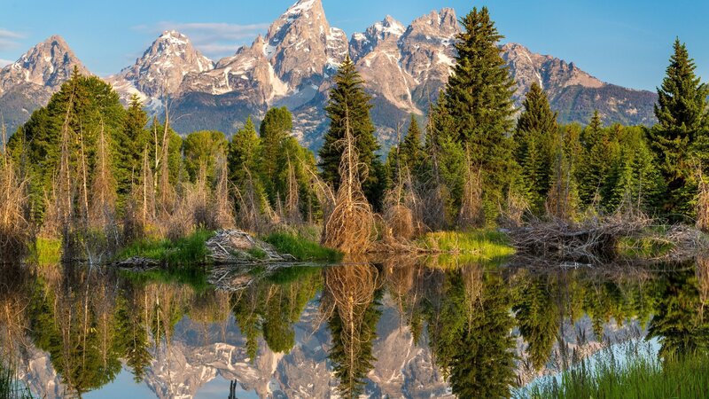 Mountain Range Reflection — Green, Serene, Morning