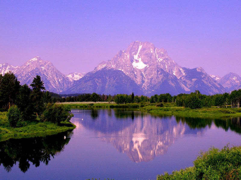 Mountain Range Reflection — Purple