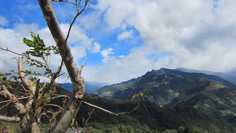 Mountain Range View — Blue, Serene, Afternoon, Photograph, Tree Branch
