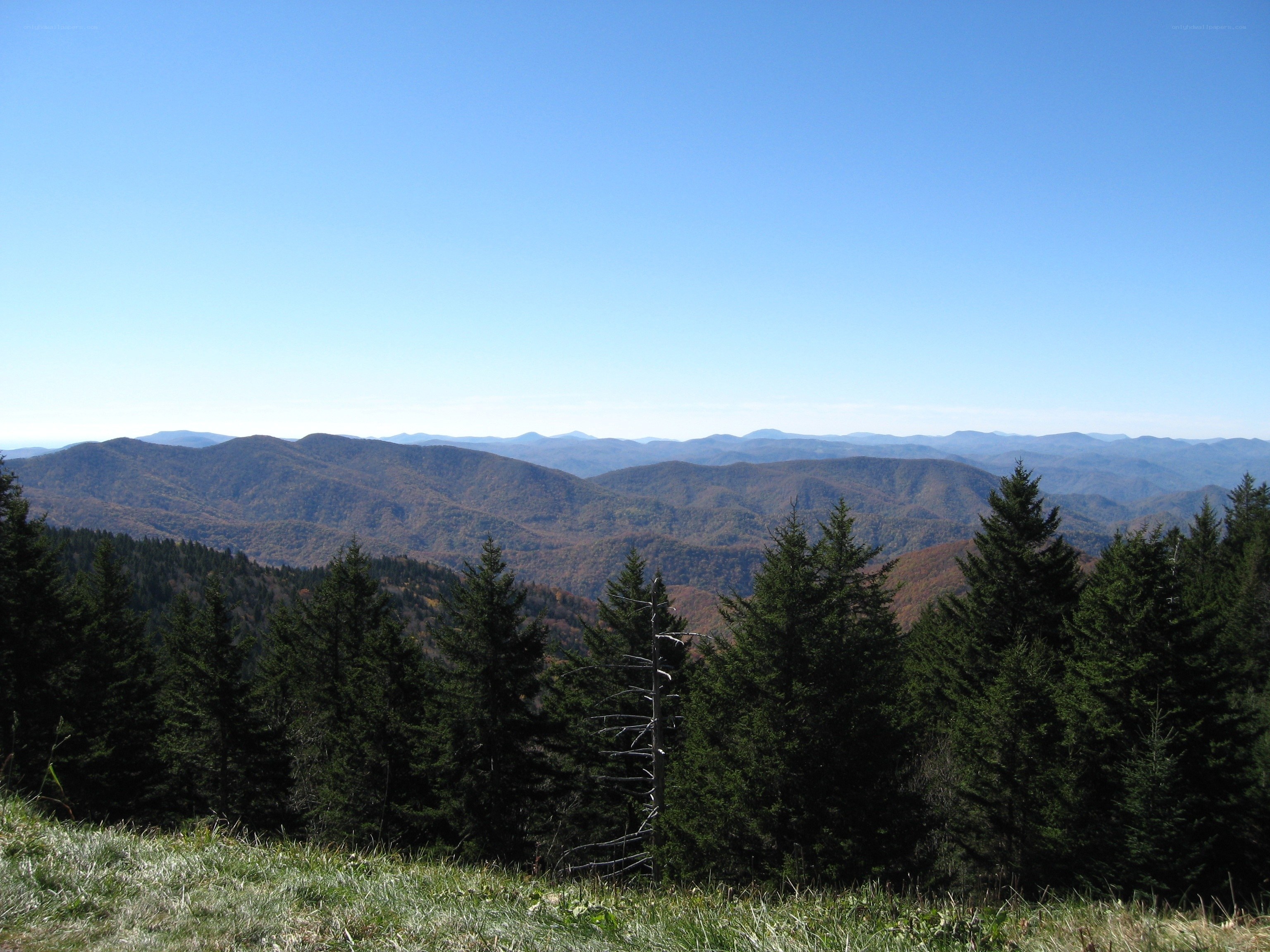 Mountain range view from a peak