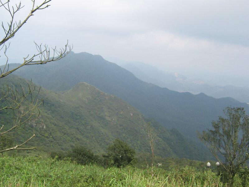 Mountain range view from hilltop